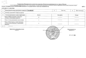 Кадастровый план территории образец