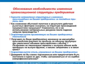 Обоснование для должности зама по кадрам