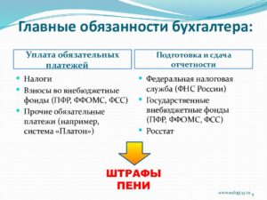 Кому в должностных инструкциях подчиняется бухгалтер