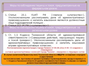 Административная ответственность за нарушение тишины и покоя граждан