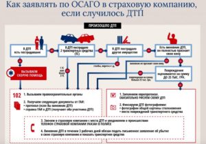 В чью страховую обращаться при дтп пострадавшему 2020
