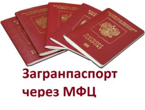 Загран паспорт сделать спб через мфц стоимость в цена